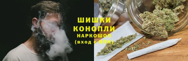 стаф Верея