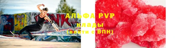 стаф Верея