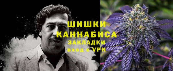 стаф Верея
