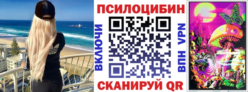 Псилоцибиновые грибы Psilocybine cubensis Новый Оскол